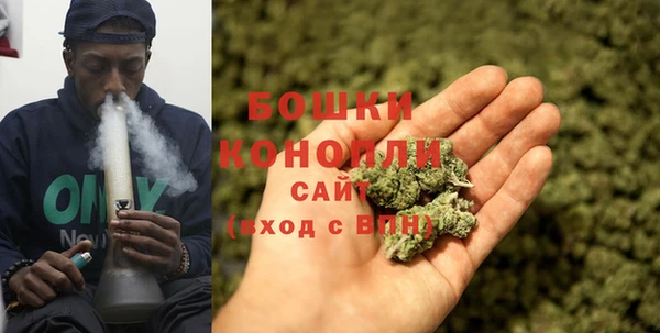 гашик Елизово