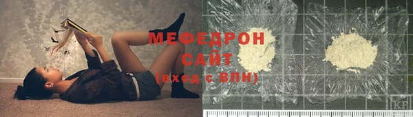 гидра Ельня