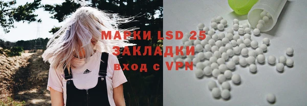 гашик Елизово