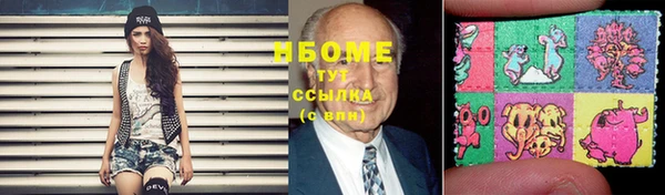 гашик Елизово