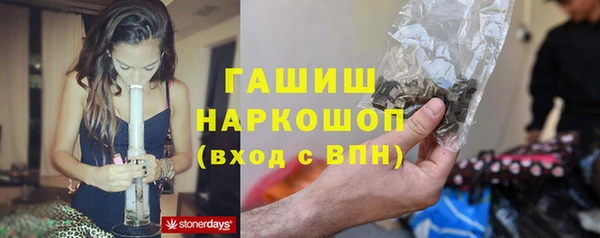 гидра Ельня