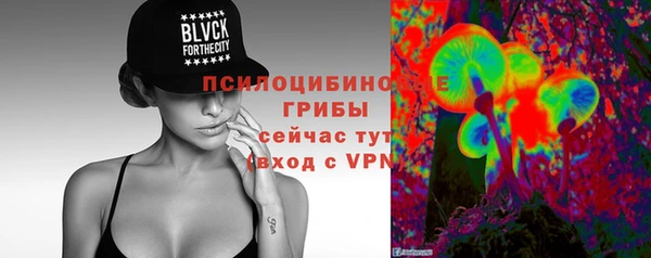 гашик Елизово