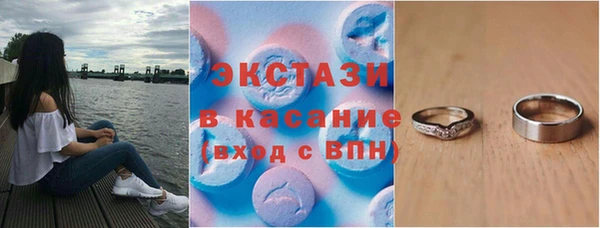 гидра Ельня