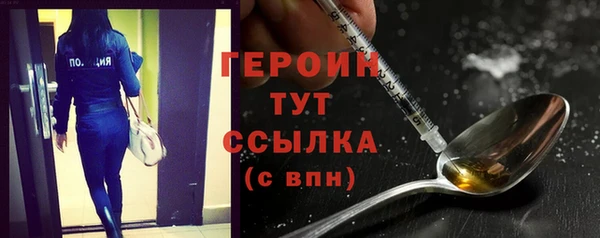 гидра Ельня
