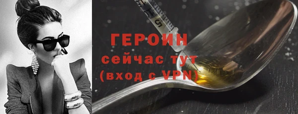 гидра Ельня