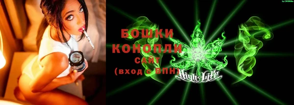 гашик Елизово