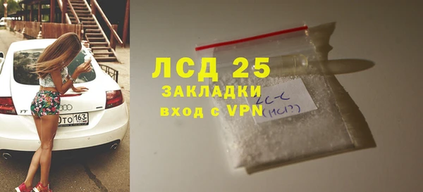 гидра Ельня