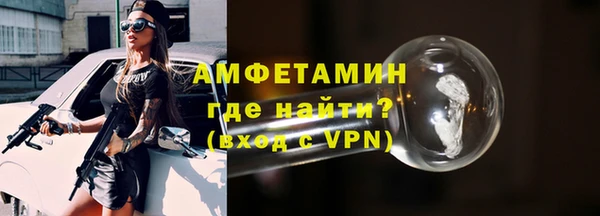 гидра Ельня