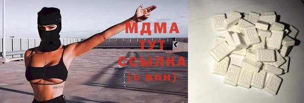 гидра Ельня