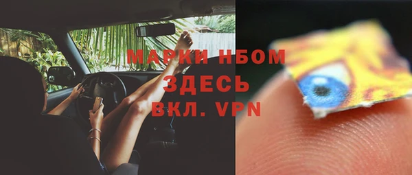 гашик Елизово