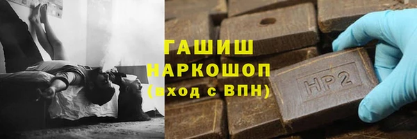 гидра Ельня
