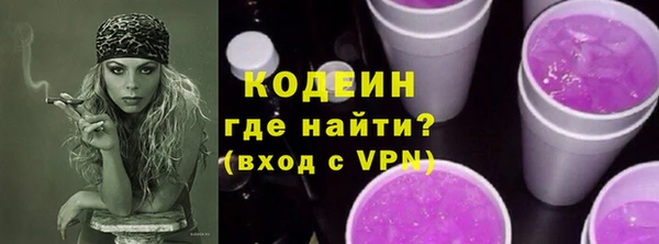гидра Ельня