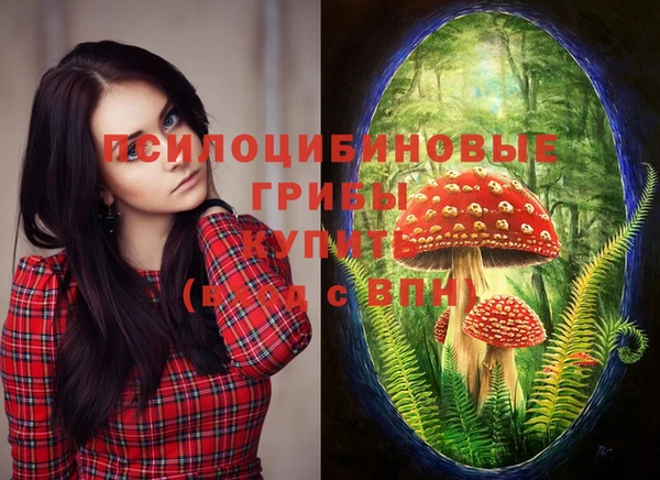 соль курить ск Елабуга