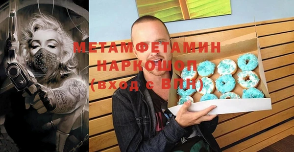 гидра Ельня