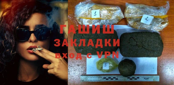 гидра Ельня