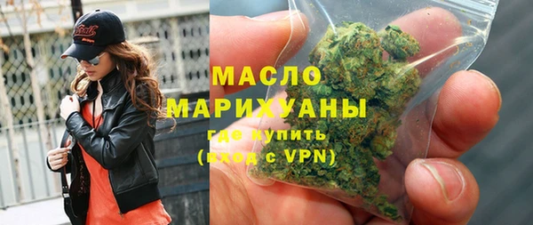 гидра Ельня