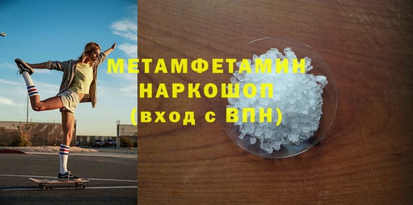 гидра Ельня