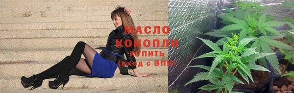 гашик Елизово