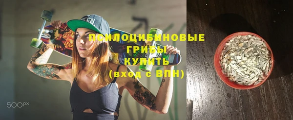 гашик Елизово