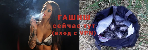 гидра Ельня