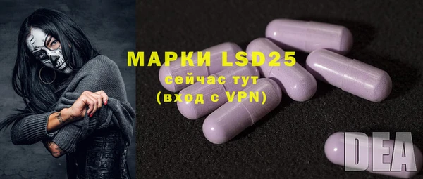 гидра Ельня
