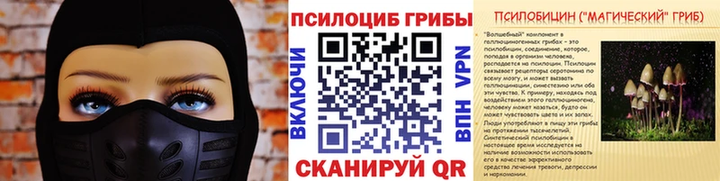 Купить закладки  Приозерск  Галлюциногенные грибы GOLDEN TEACHER 